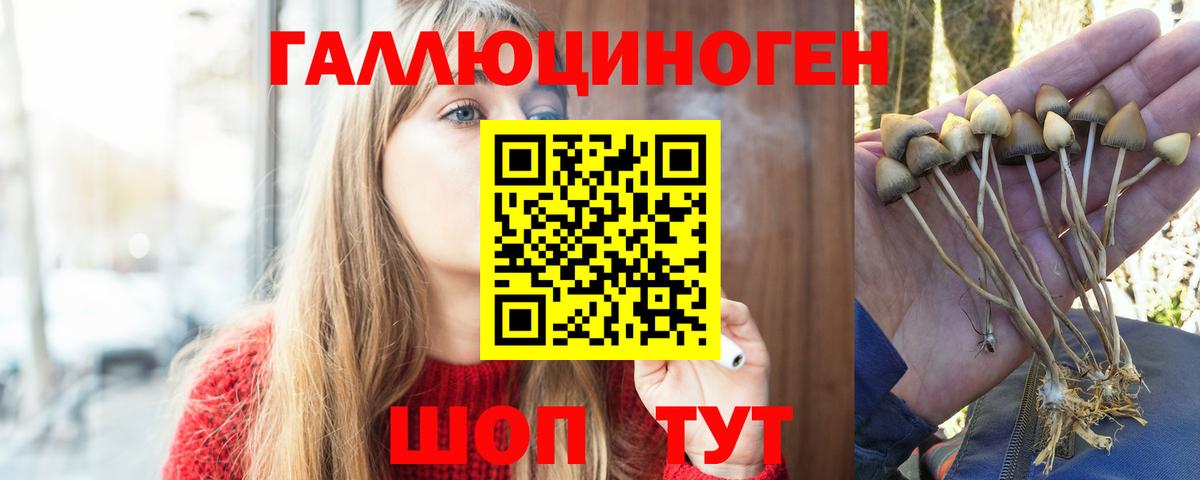 Псилоцибиновые грибы Psilocybe  Вход с VPN  Сергиев Посад  Псилоцибиновые грибы ЛСД 